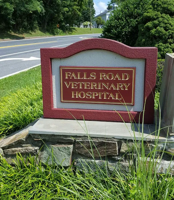 Falls Road Veterinary Hospital, A Thrive Pet Healthcare Partner Picture 9