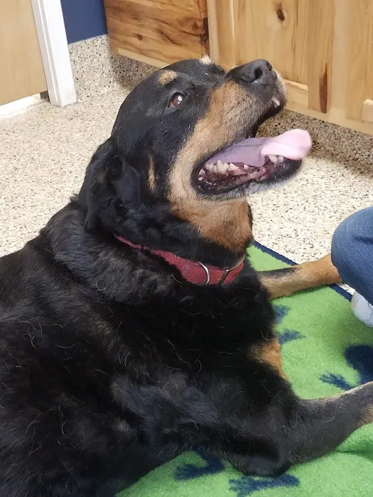 Hoof & Paw Veterinary Services Picture 9