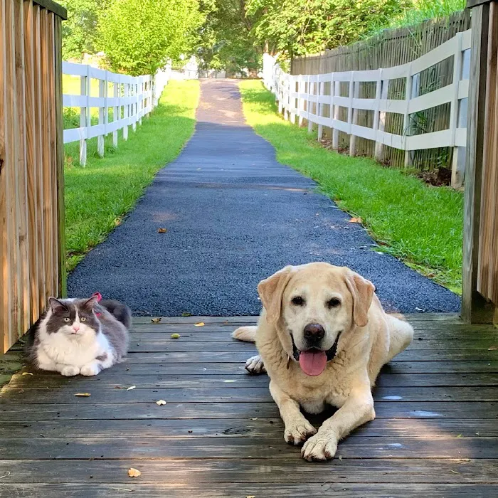 Hoof & Paw Veterinary Services Picture 10