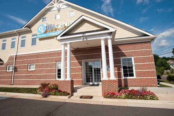 Veterinary Surgical Centers Picture 10