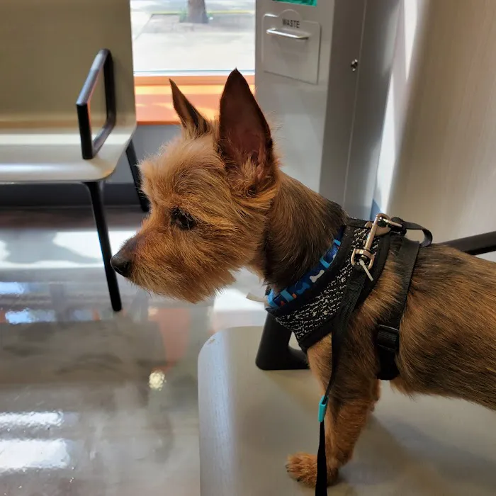 Value Veterinary Clinic Picture 1