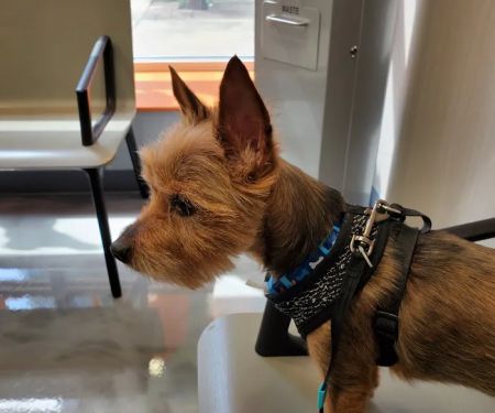 Value Veterinary Clinic