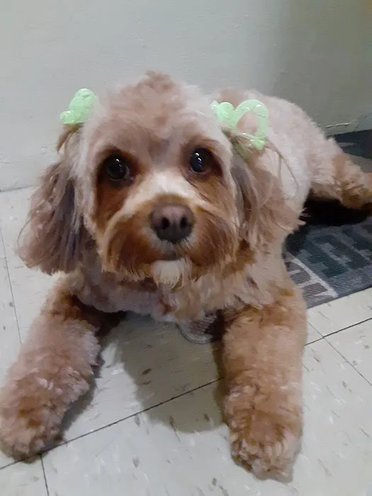 Value Veterinary Clinic Picture 10