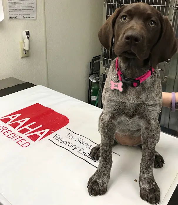Oaklawn Animal Hospital Picture 6