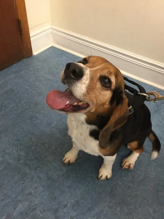 Oaklawn Animal Hospital Picture 10