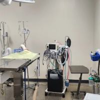 Vetco Total Care Animal Hospital ico