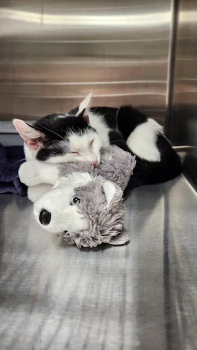 Vetco Total Care Animal Hospital Picture 8