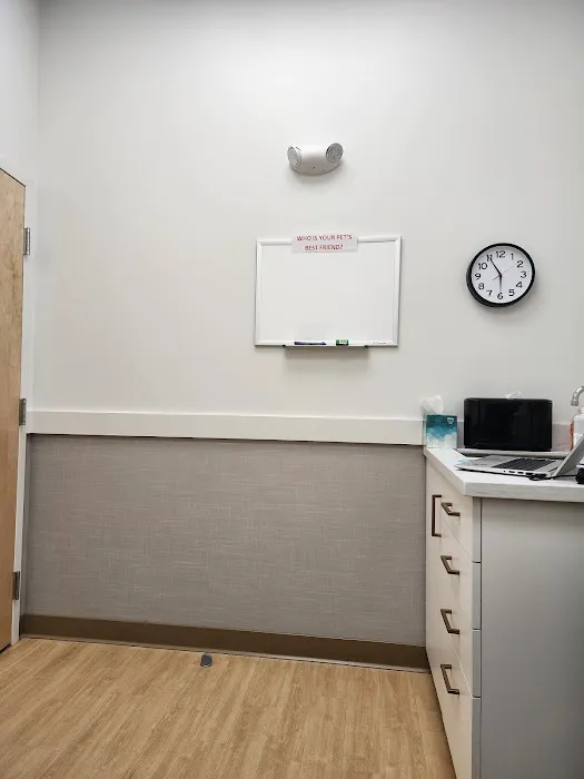 PetMedic Urgent Care Vet Clinic - Westborough Picture 2