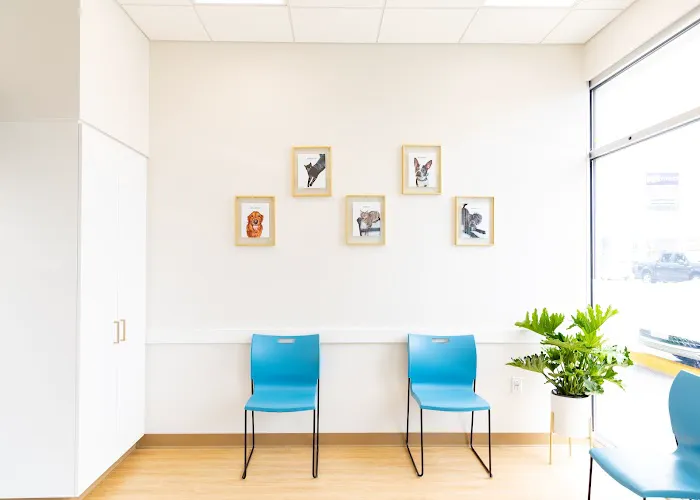 PetMedic Urgent Care Vet Clinic - Westborough Picture 10