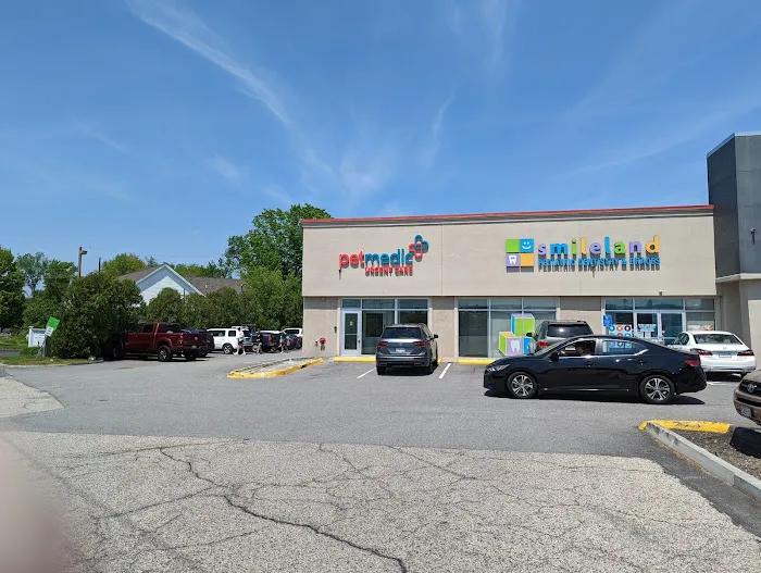 PetMedic Urgent Care Vet Clinic - Westborough Picture 6