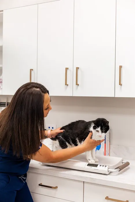 PetMedic Urgent Care Vet Clinic - Westborough Picture 9