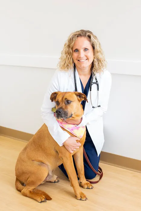 PetMedic Urgent Care Vet Clinic - Westborough Picture 8