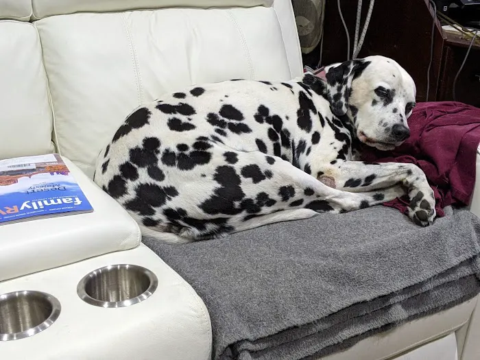 Community Care Animal Hospital Picture 9