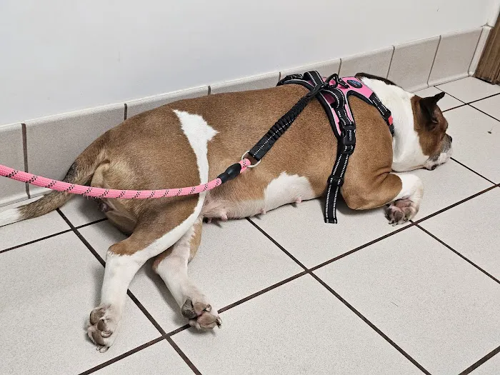 Community Care Animal Hospital Picture 10