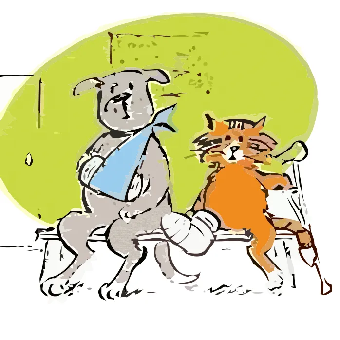 Hickory Veterinary Services Picture 1