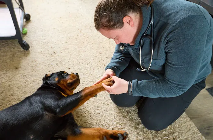 Addison County Mobile Veterinary Services Picture 2