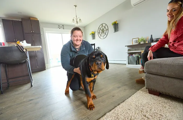 Addison County Mobile Veterinary Services Picture 1