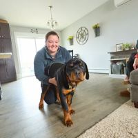 Addison County Mobile Veterinary Services ico