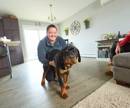 Addison County Mobile Veterinary Services