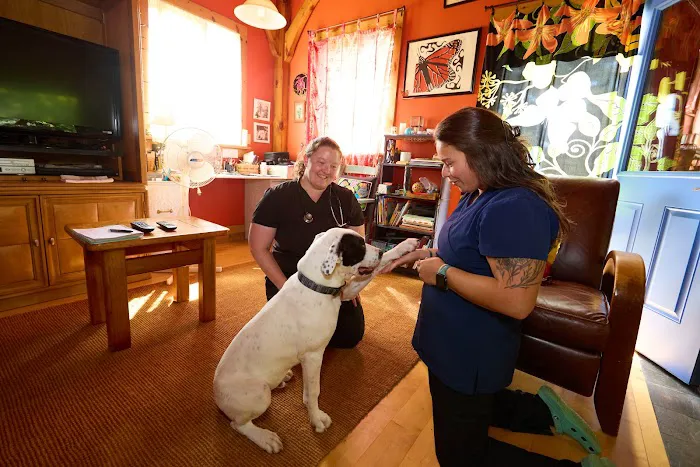 Addison County Mobile Veterinary Services Picture 3