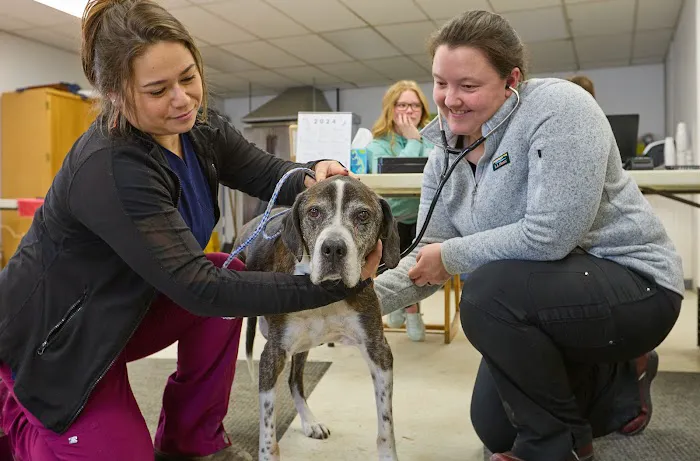 Addison County Mobile Veterinary Services Picture 5