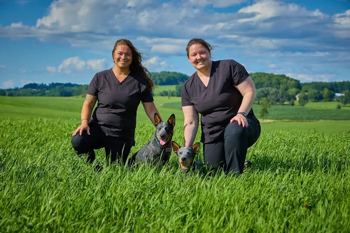 Addison County Mobile Veterinary Services Picture 10