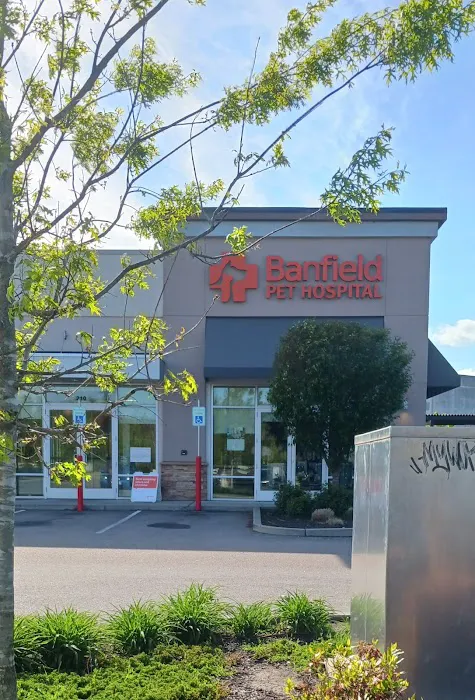 Banfield Pet Hospital Picture 2