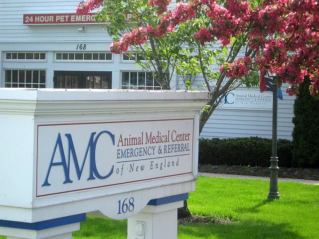 Animal Medical Center of New England Picture 10
