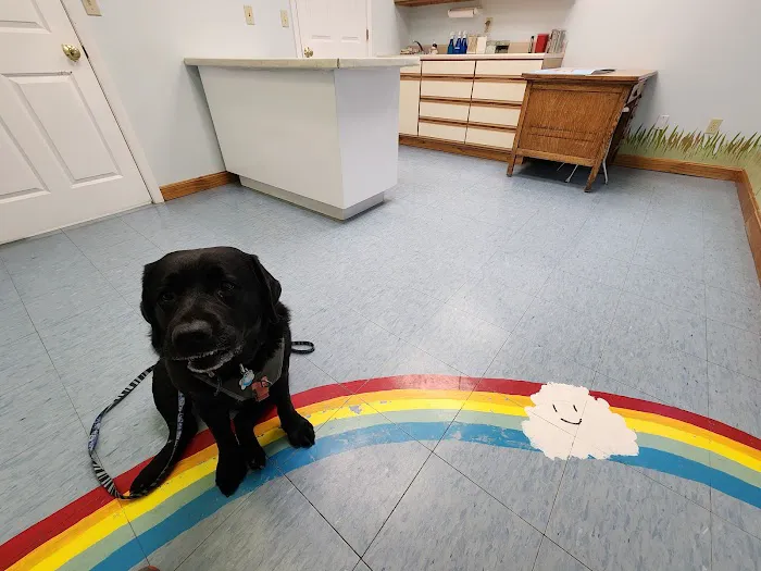 Cornerstone Veterinary Hospital Picture 2