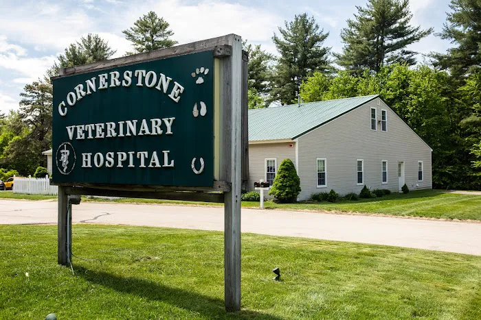 Cornerstone Veterinary Hospital Picture 4