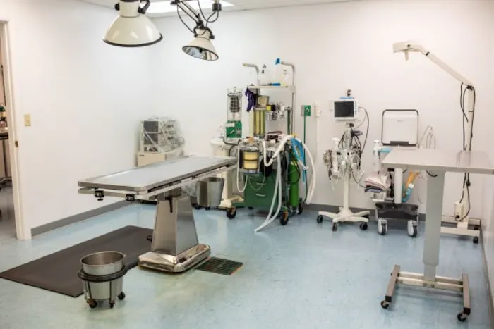Cornerstone Veterinary Hospital Picture 6