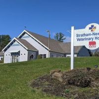 Stratham-Newfields Veterinary Hospital ico