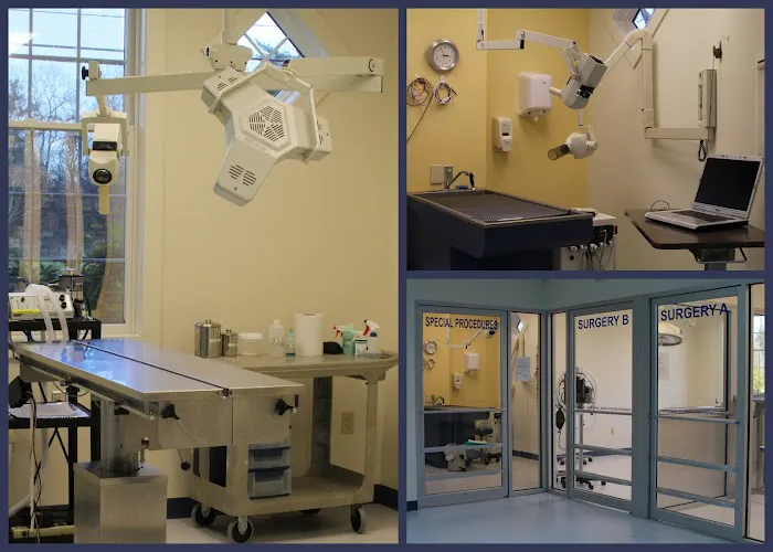 Stratham-Newfields Veterinary Hospital Picture 4