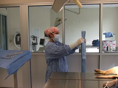 Stratham-Newfields Veterinary Hospital Picture 3