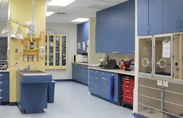 Stratham-Newfields Veterinary Hospital Picture 9