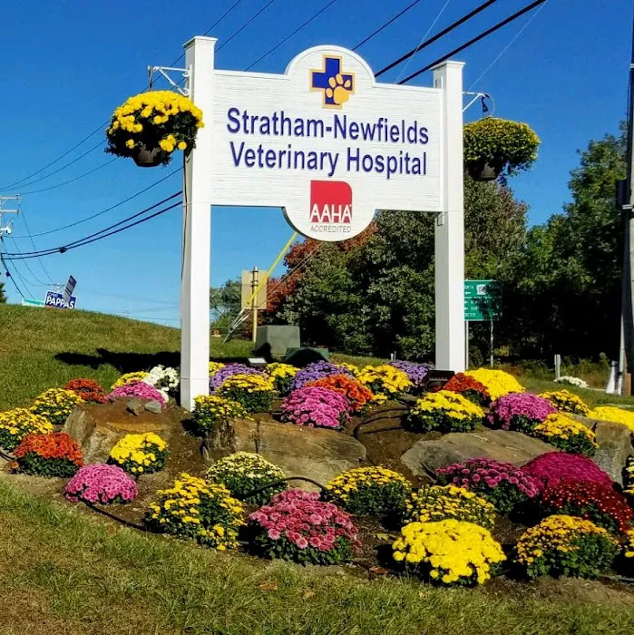 Stratham-Newfields Veterinary Hospital Picture 8