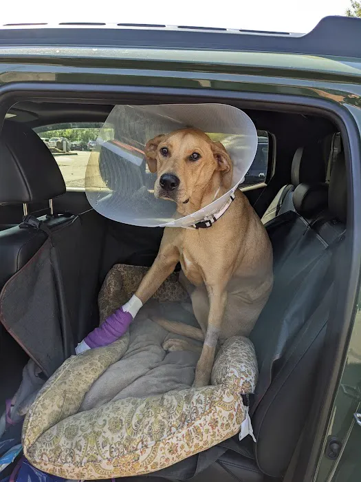 Veterinary Emergency & Surgery Hospital Picture 2