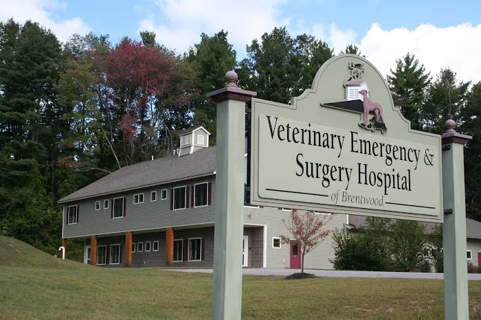Veterinary Emergency & Surgery Hospital Picture 4