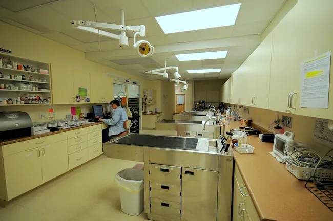 Veterinary Emergency & Surgery Hospital Picture 5