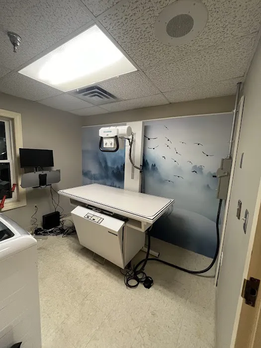 Vogel Veterinary Emergency and Specialty (including Dermatology) Picture 8