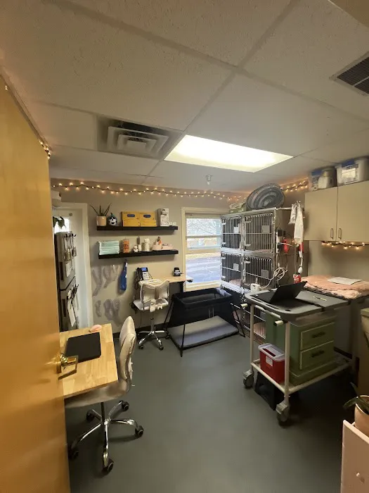Vogel Veterinary Emergency and Specialty (including Dermatology) Picture 9