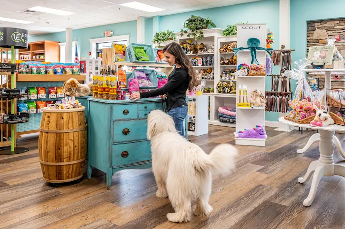 JM Pet Resort & Veterinary Clinic Picture 7
