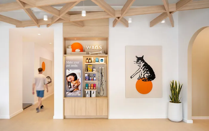 Small Door Veterinary - Brookline Picture 6