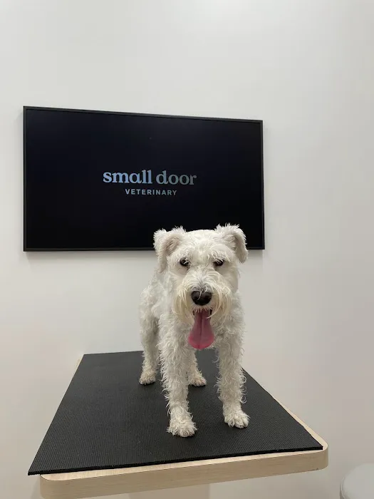Small Door Veterinary - Brookline Picture 3