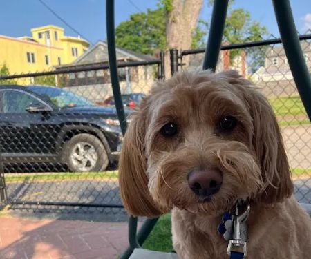 Banfield Pet Hospital