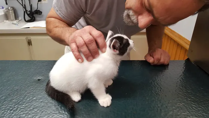 Middleboro Animal Clinic Picture 2