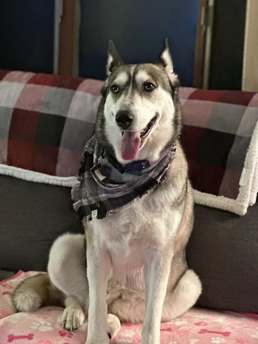 Gray-New Gloucester Animal Hospital Picture 7