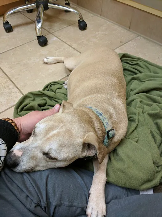 Gray-New Gloucester Animal Hospital Picture 5
