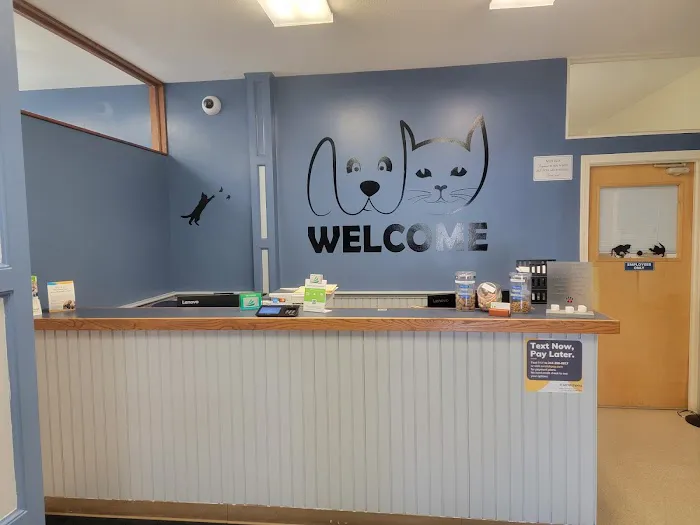 Have A Heart Animal Hospital, A Thrive Pet Healthcare Partner Picture 8