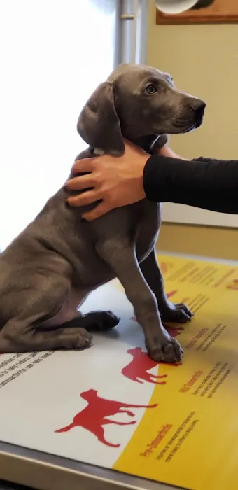 Post Road Veterinary Clinic Picture 4